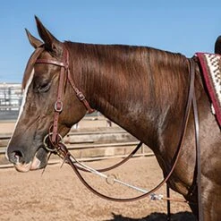 Professionals Choice AD Yoyo Head Setter For Horses