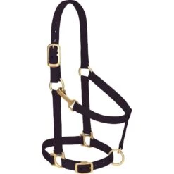 Weaver Leather Adjustable Chin And Throat Snap Halter Regular Size 12 Weaver Leather Adjustable Chin And Throat Snap Halter Regular Size -HORSE TACK Store 112894 115149