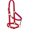 Weaver Leather Adjustable Chin And Throat Snap Halter Regular Size -HORSE TACK Store 112894 115150