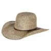 Stetson Hats Youth Dalford 4 1/4` Brim Bangora 1 Stetson Hats Youth Dalford 4 1/4` Brim Bangora -HORSE TACK Store 117099 default l