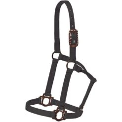 Mustang Antique Dot Halter 18 Mustang Antique Dot Halter -HORSE TACK Store 125153 185413