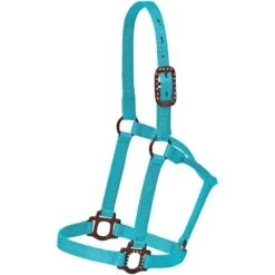 Mustang Antique Dot Halter 20 Mustang Antique Dot Halter -HORSE TACK Store 125153 379130