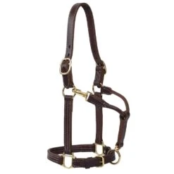 Weaver Leather Large Horse 1in Oiled Track Halter