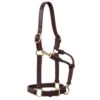 Weaver Leather Horse 1in Oiled Track Halter 2 Weaver Leather Horse 1in Oiled Track Halter -HORSE TACK Store 136853 default l