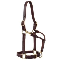 Weaver Leather Horse 1in Oiled Track Halter