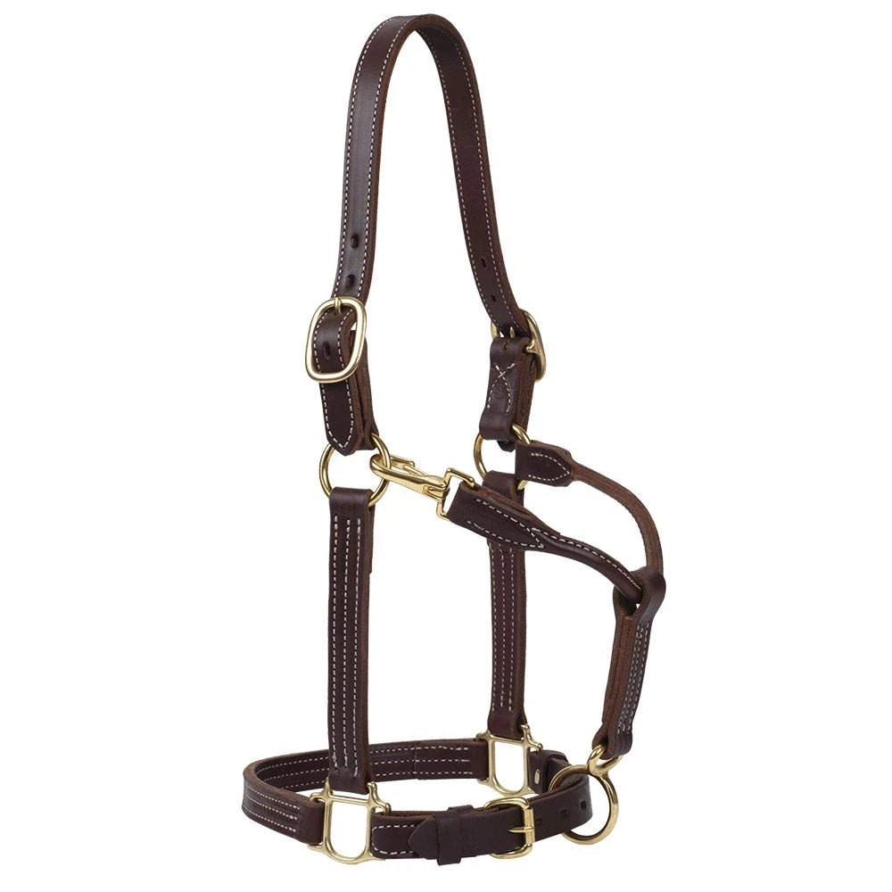 Weaver Leather Small Horse 1in Oiled Track Halter 3 Weaver Leather Small Horse 1in Oiled Track Halter