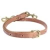 Professionals Choice Harness Leather Tie Down Strap W/Brass Snaps -HORSE TACK Store 137213 default l