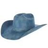 Jw Brooks Custom Hats 50X Robins Egg Smoke 4 1/4in. Brim Felt Cowboy Hat -HORSE TACK Store 139895 default l