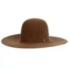 Resistol 30X Dunn Rough N Ready 4 1/2in. Brim Felt Cowboy Hat