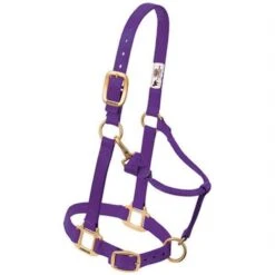 Weaver Leather Adjustable Nylon Weanling Halter