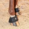 Classic Classic Equine Black MagNTX Magnetic Bell Boot -HORSE TACK Store 158005 default l