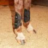 Classic Equine Black MagNTX Magnetic Tendon Wrap
