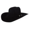 Resistol 20X Black Gold Precreased 4 1/4in. Brim Felt Cowboy Hat -HORSE TACK Store 160123 default l