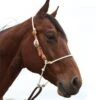 Martin Saddlery Rope Nose Adjustable Headsetter -HORSE TACK Store 17201 default l