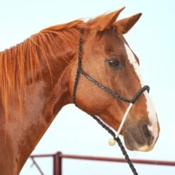 Martin Saddlery Rope Nose Halter With Lead 13 Martin Saddlery Rope Nose Halter With Lead -HORSE TACK Store 186648 584937