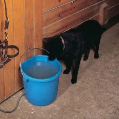 API 20 Quart Heated Flat Back Bucket -HORSE TACK Store 20FB 3