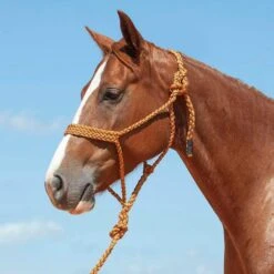 Cashel Company Flat Braid Halter W/9ft Lead -HORSE TACK Store 211122 649091