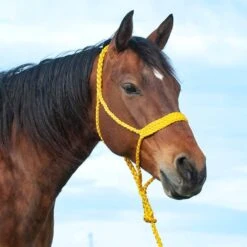 Cashel Company Flat Braid Halter W/9ft Lead -HORSE TACK Store 211122 649092