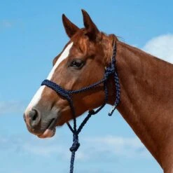 Cashel Company Flat Braid Halter W/9ft Lead -HORSE TACK Store 211122 649093