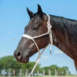 Cashel Company Flat Braid Halter W/9ft Lead -HORSE TACK Store 211122 649097