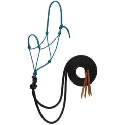 Weaver Leather Silvertip Big Sky Loping Halter With Split Reins -HORSE TACK Store 224469 711587