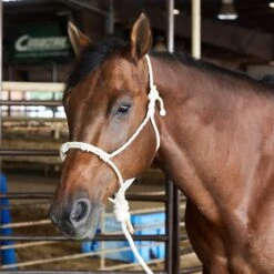 Caudle`S Halters Rope Nose Halter With An 8 1/2ft Lead Rope -HORSE TACK Store 231933 737610