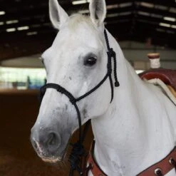 Caudle`S Halters Rope Nose Halter With An 8 1/2ft Lead Rope -HORSE TACK Store 231933 737611