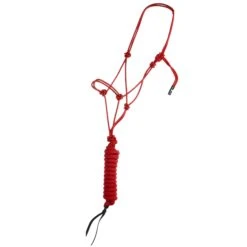 Classic Econo Halter And 9-Foot Leadrope -HORSE TACK Store 241613 789093