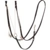 Mustang German Martingale