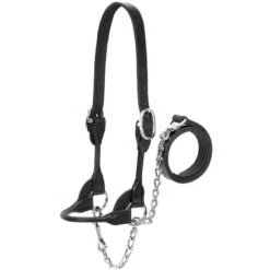 Weaver Leather Leather Dairy/Beef Show Halter