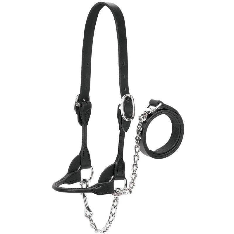 Weaver Leather Leather Dairy/Beef Show Halter 3 Weaver Leather Leather Dairy/Beef Show Halter