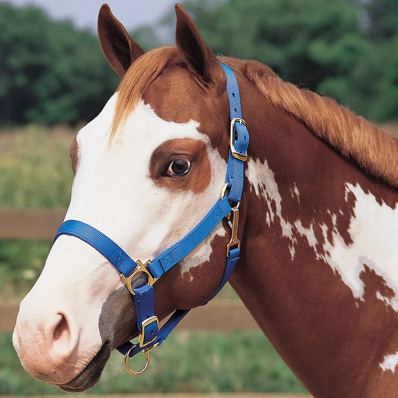 Weaver Leather Adjustable Chin And Throat Snap Halter Regular Size 4 Weaver Leather Adjustable Chin And Throat Snap Halter Regular Size - Image 2