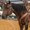 Nrs Tack Oiled Harness Leather Roping Rein German Martingale -HORSE TACK Store 38363 default l