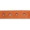 Professionals Choice Mens Sagebrush Spur Straps HL 2 Professionals Choice Mens Sagebrush Spur Straps HL -HORSE TACK Store 51ISuS1g7NL