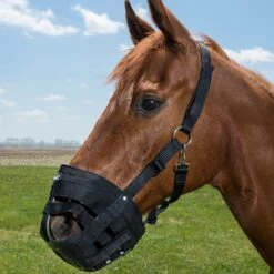 Tough 1 Easy Breath Grazing Muzzle 7 Tough 1 Easy Breath Grazing Muzzle -HORSE TACK Store 52 966h 7658