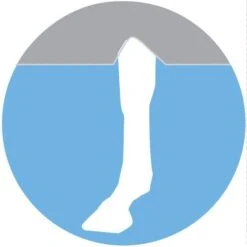 Horseware Ireland Rambo Flybuster With No-Fly Zone -HORSE TACK Store 7672 leg arches 6bdff58d fd2e 497c 8c61 e1c47cc6f1ee