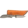 Anza Arrow Head Micarta Handle Knife W/Sheath 1 Anza Arrow Head Micarta Handle Knife W/Sheath -HORSE TACK Store 91836 default l