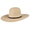 Sunbody Hats 4 1/2in. Brim 5in. Open Crown Palm Leaf Cowboy Hat -HORSE TACK Store 94310 default l