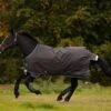Horseware Ireland Amigo Bravo 12 Original Turn Out Lite 100g 2 Horseware Ireland Amigo Bravo 12 Original Turn Out Lite 100g -HORSE TACK Store AARA16 JCSK 2
