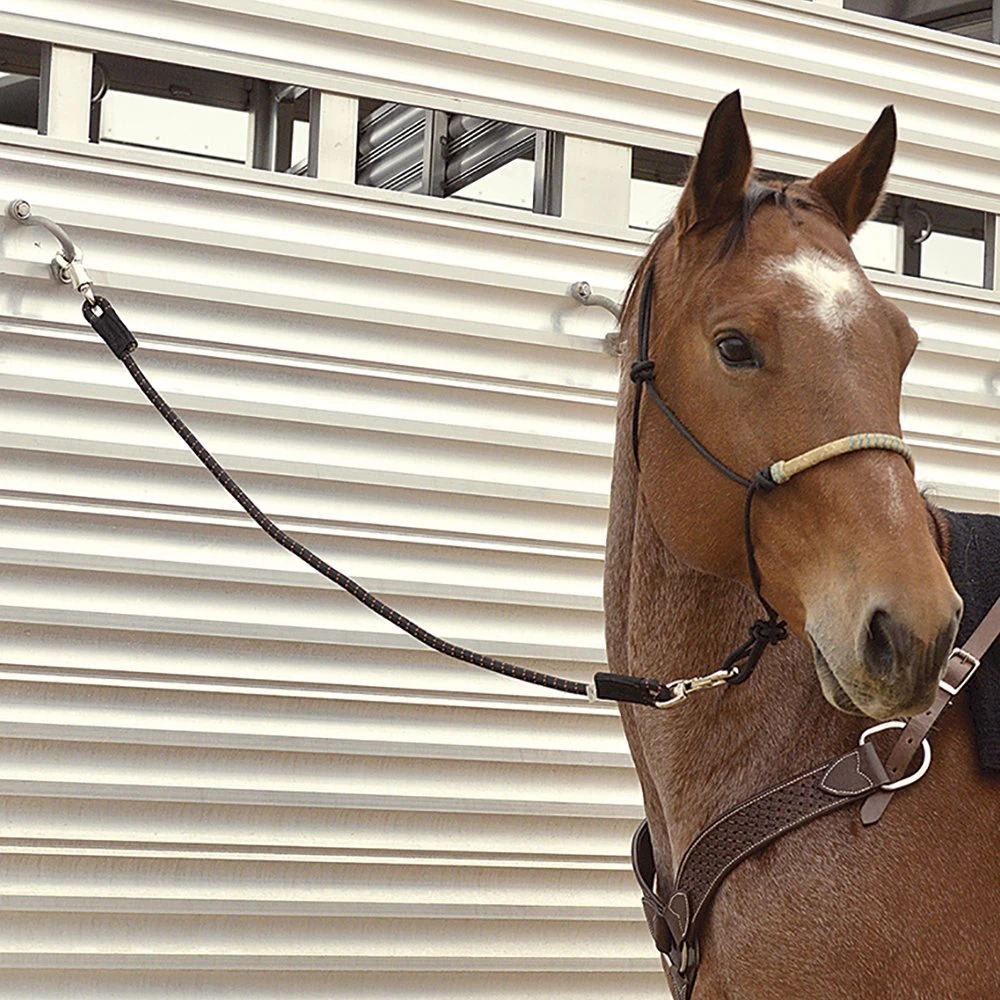 Cashel Company 60in. Triple Shock Cord Trailer Tie 4 Cashel Company 60in. Triple Shock Cord Trailer Tie - Image 2