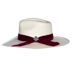 Charlie 1 Horse 10X Truth 3 1/2in. Brim Straw Fashion Hat -HORSE TACK Store CSTRTH 343481 2