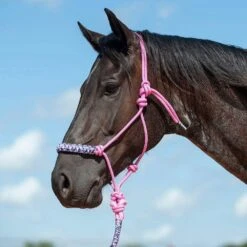 Cashel Company Camo Braided Rope Nose Halter -HORSE TACK Store HTR BNRH fromShopify 3