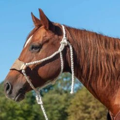 Cashel Company Braided Rope Halter W/Basket Stamp Leather Nose And Lead Rope -HORSE TACK Store HTR BRNLBT main