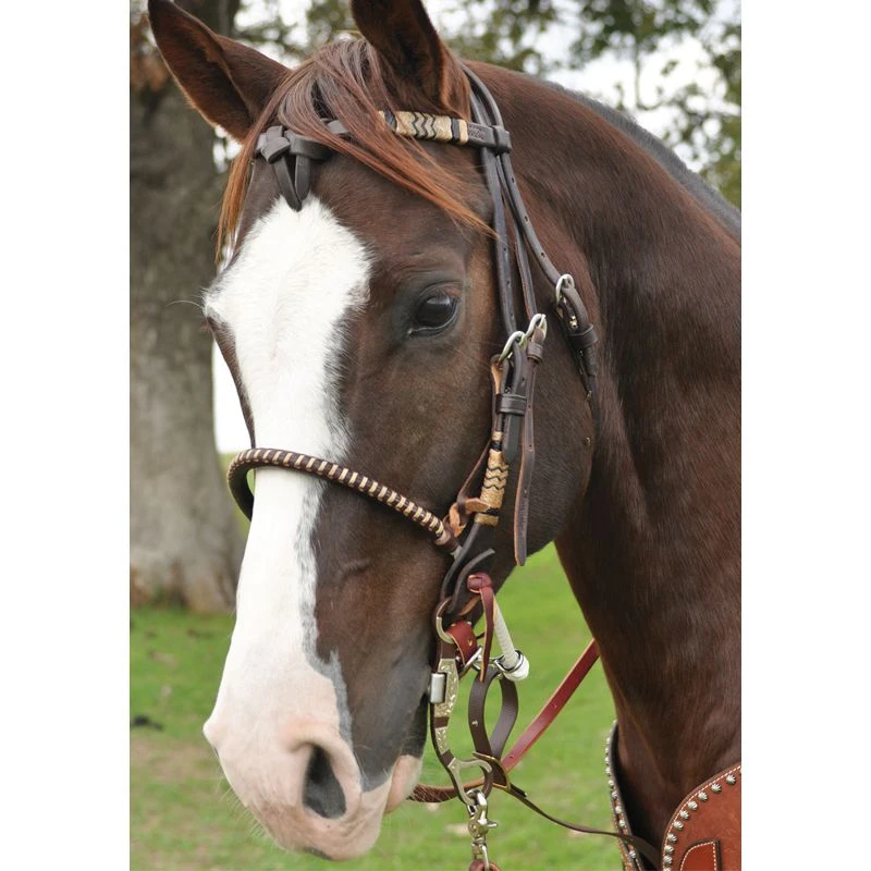 Martin Saddlery Chocolate Single Rope Martin Saddlery Noseband 5 Martin Saddlery Chocolate Single Rope Martin Saddlery Noseband - Image 3