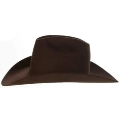Resistol 30X Mulberry Westwood 4 1/4in. Brim Felt Cowboy Hat -HORSE TACK Store RFWSWD 1642ML 5