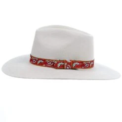 M&F Girls Pinch Front Silver Belly Fashion Hat 3 1/2` Brim -HORSE TACK Store T78900277 3