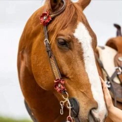 Circle Y Saddlery Sarah Rose Vintage Single Ear Headstall 10 Circle Y Saddlery Sarah Rose Vintage Single Ear Headstall -HORSE TACK Store X0204 100V 3