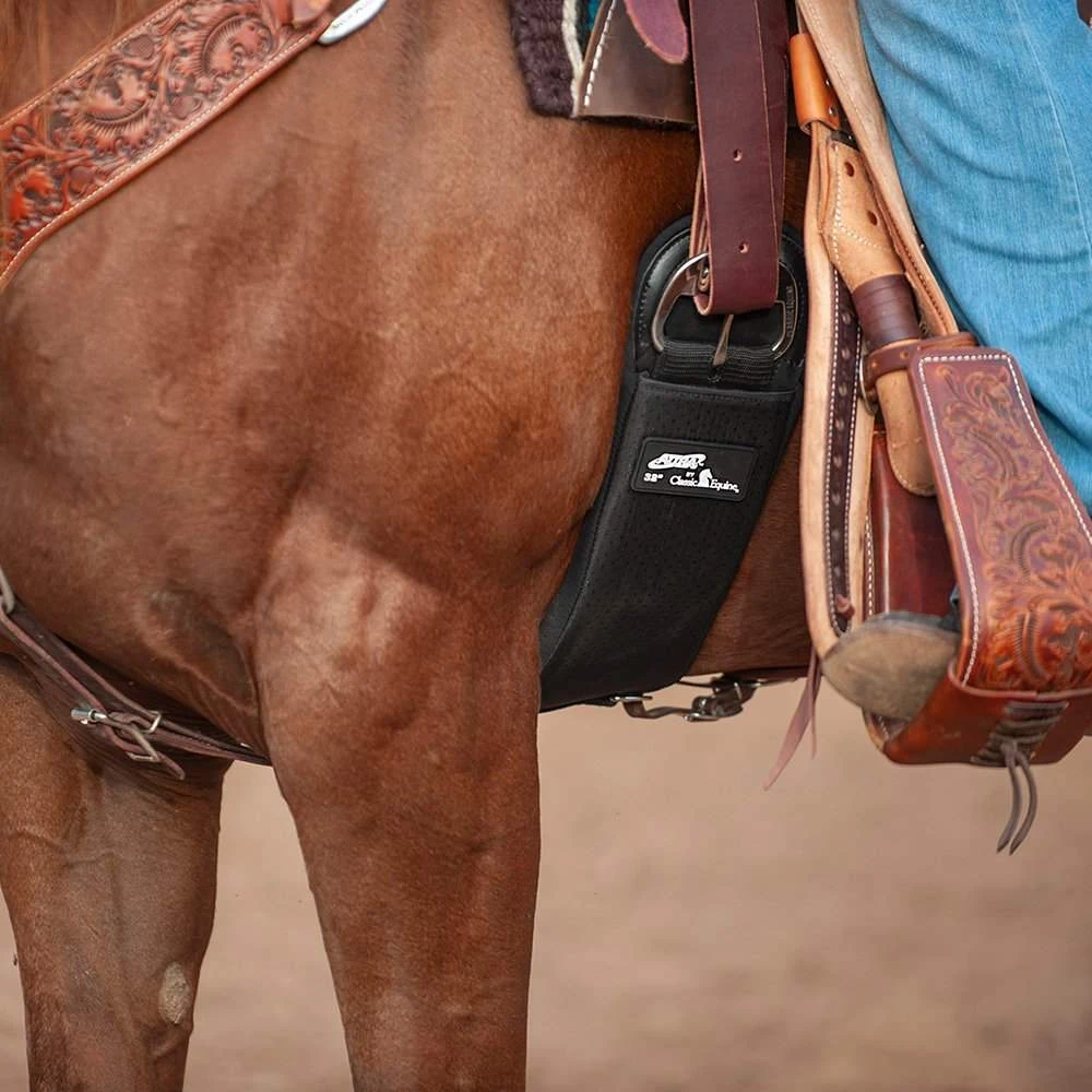 Classic Aura Roping Cinch 4 Classic Aura Roping Cinch - Image 2