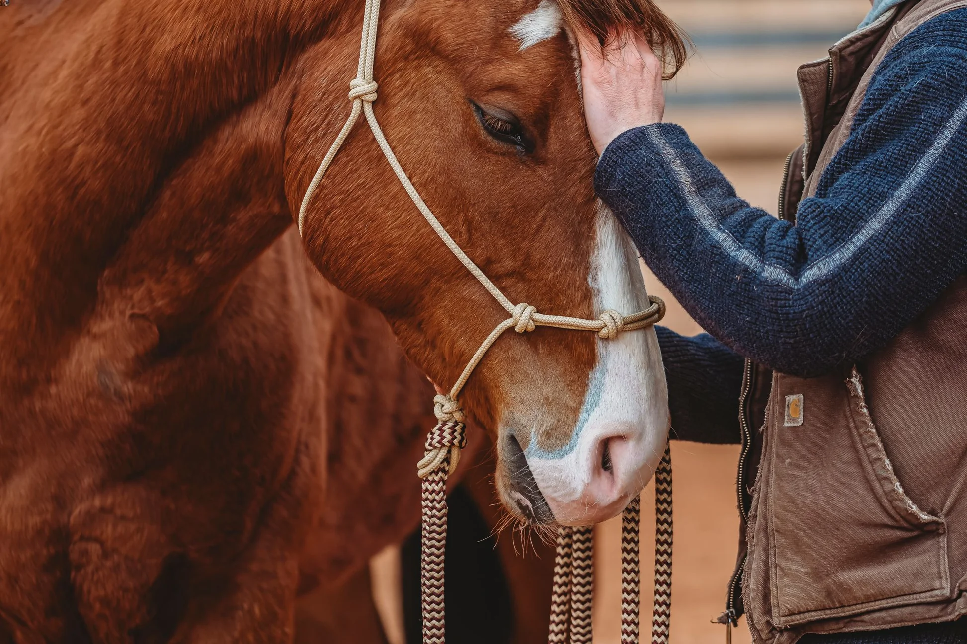 HORSE TACK Store -HORSE TACK Store 4